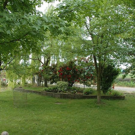 Bed and Breakfast Rose Rosse Cadi David Экстерьер фото