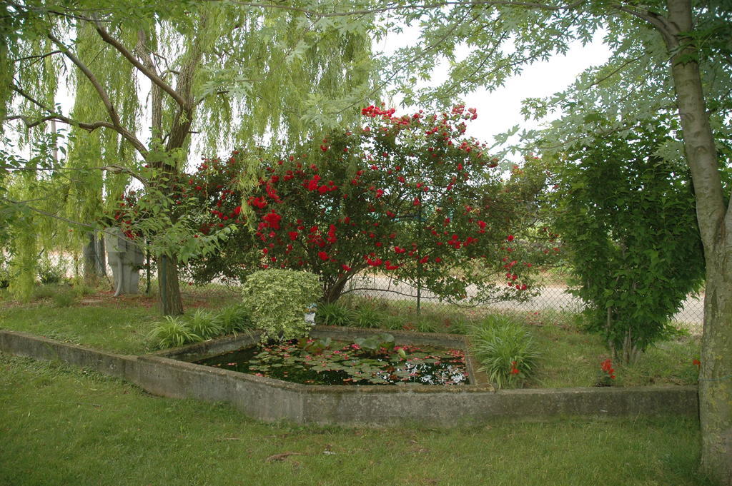 Bed and Breakfast Rose Rosse Cadi David Экстерьер фото